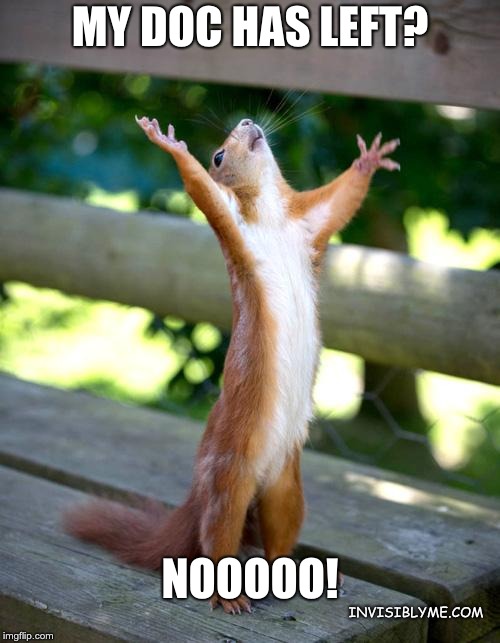 An InvisiblyMe meme of a squirrel reaching up to the sky. It reads "my doc has left? Noooo!"