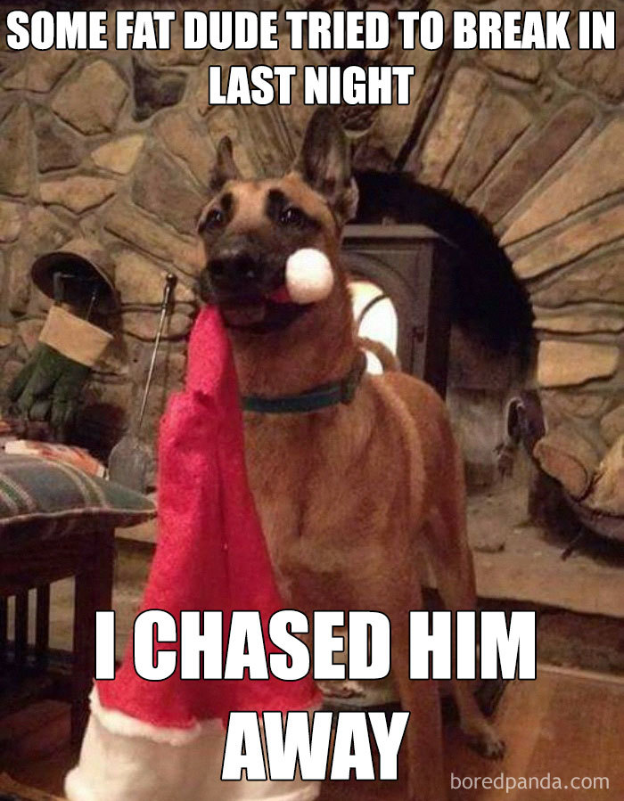 A dog holding a Santa hat in his mouth. The meme reads "some fat dude tried to break in last night. I chased him away".