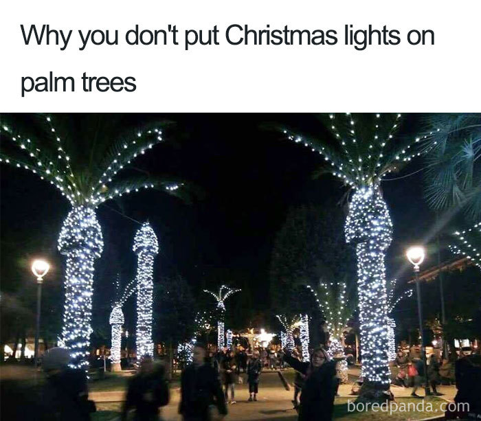 A photo of of a few palm trees lit up with Christmas fairy lights. It looks rude, with each looking like a giant penis that's ejaculating.