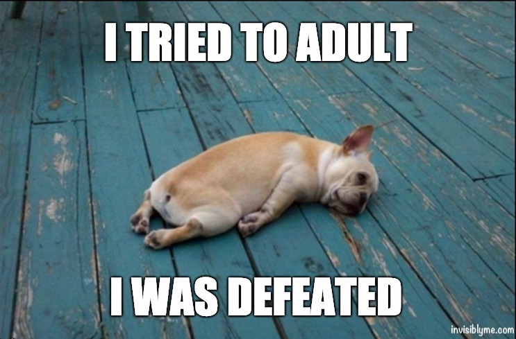 An InvisiblyMe meme. A dog lying flat on his front, legs down as though utterly exhausted. It reads "I tried to adult. I was defeated".