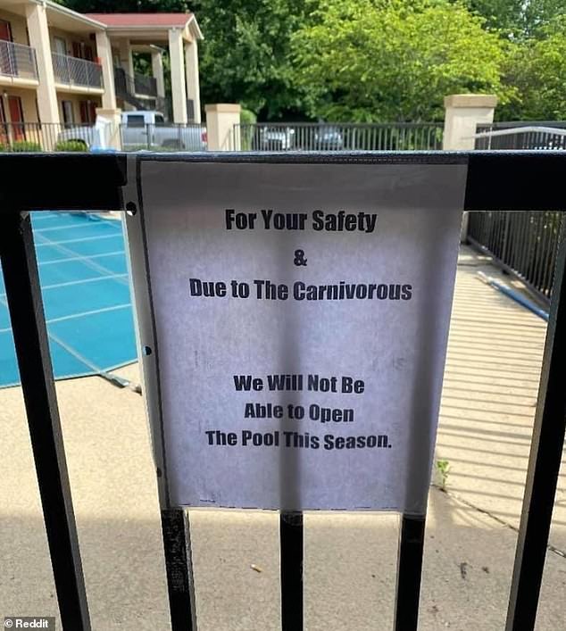 A pool in the background surrounded by a black gate. On the gate is a sign reading : "For your safety & due to the carnivorous we will not be able to open the pool this season."