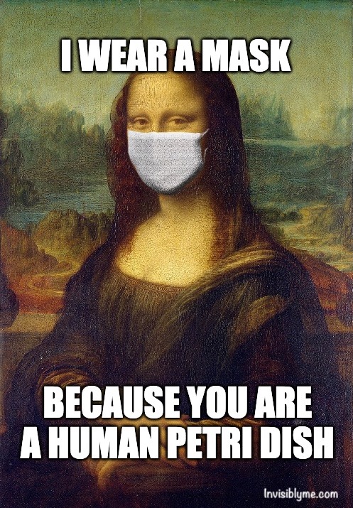 An InvisiblyMe meme. The painting of the Mona Lisa with a blue surgical mask added over her face. It reads: "I wear a mask... because you are a human petri dish".