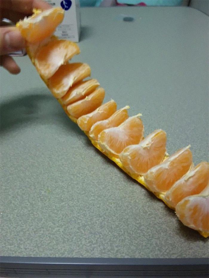 A photo taken of the orange life hack. An orange has been cut so that it forms a long line of peel holding each segment so that they can be individually picked off and eaten.