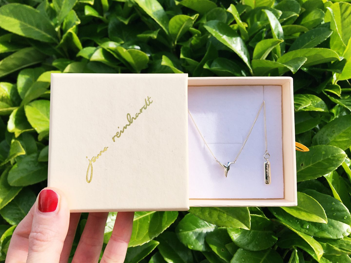 A photo of the gift box and Jana Reinhardt silver hummingbird necklace inside that I was kindly gifted for this review. I'm holding the box up against the lush green leaves of a plant in my back garden.