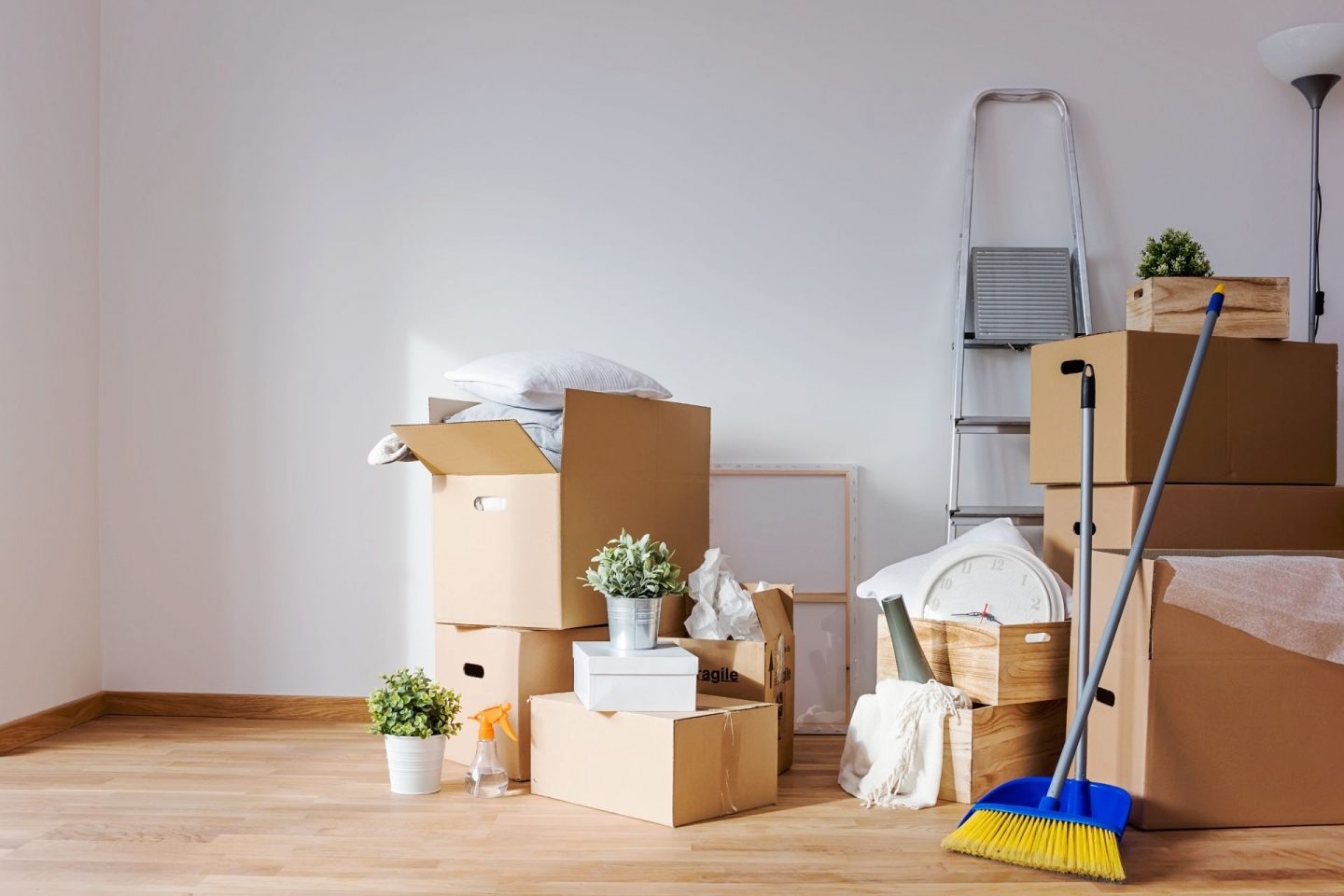 A photo of a room with a wooden floor and white walls. Everything is mostly packed into boxes, though we can see some loose plant pots, set of ladders, and dustpan and brush set.