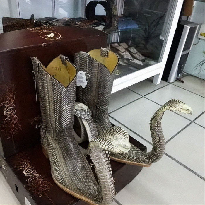A photo of a pair of calf-length snakeskin cowboy boots. The end of the toes is elongated, with snakes coming out of the top of them with their heads up, so the snake appears a similar height to the boots..