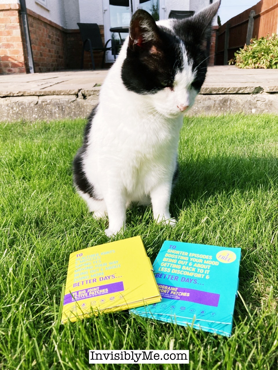 A photo on the grass in my garden showing my black and white cat, Virgil, looking down at the two To Better Days packs of pain patches laid out in front of him.