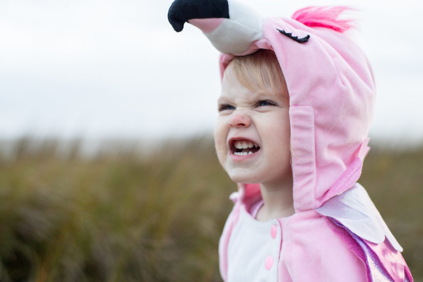 A photo of the head and shoulders of a little girl, maybe 4 or 5 years old. A field is behind her. She's wearing a pink flamingo outfit which a hood up where the beak is. She has her teeth bared like she's assertive, fierce, happy and confident.