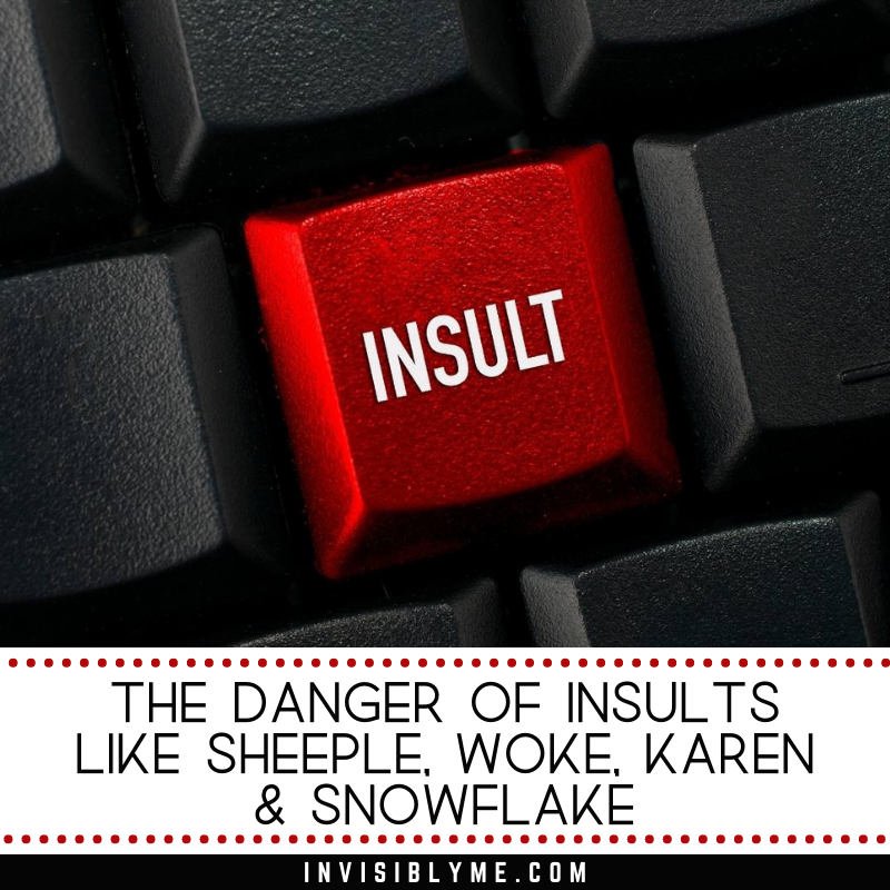 A close-up photo of keys on a keyboard, with one in red and the word "insult" printed on it. Below is the post title - The Danger Of Insults Like Sheeple, Woke, Karen & Snowflake.