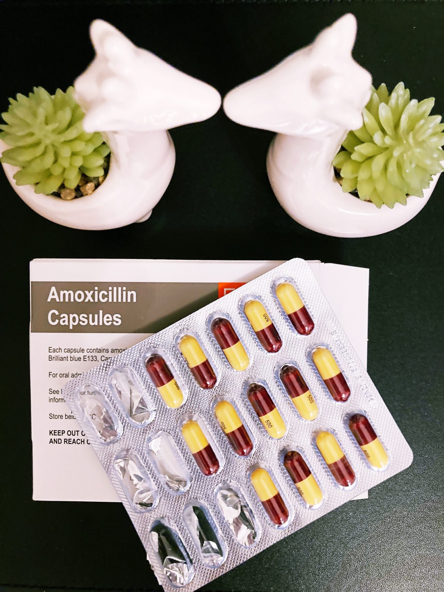 A bird's eye view photo of a black tabletop and a box of Amoxicillin antibiotics, with the sheet of capsules on top. There are also two small giraffe succulents next to them.